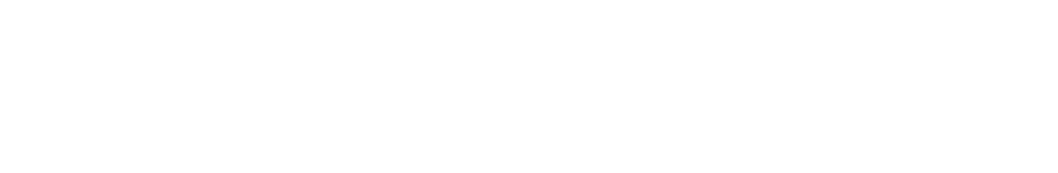 logo light